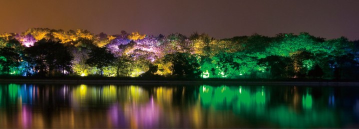 天井湖公园